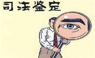 民法典生態(tài)損害賠償