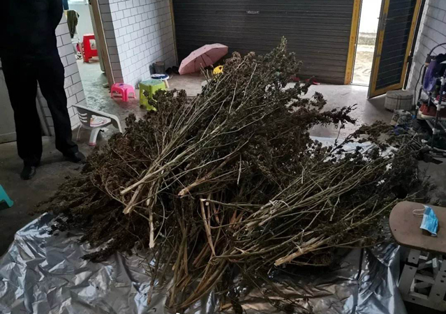 溫州摧毀用虛擬幣交易販毒團伙3.jpg