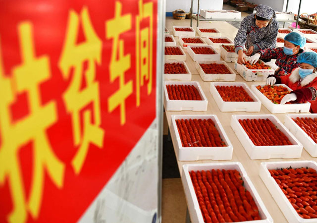 云南省2020年脫貧標(biāo)準(zhǔn).jpg