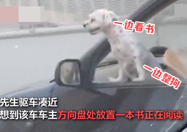 司機(jī)開車時(shí)邊擼狗邊看書1.jpg