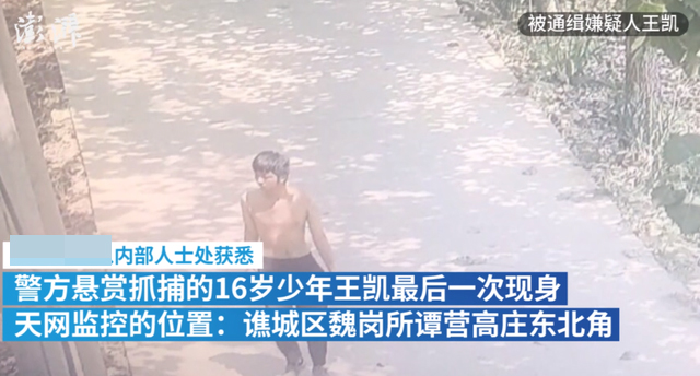 安徽亳州16歲犯罪嫌疑人落網(wǎng)2.jpg