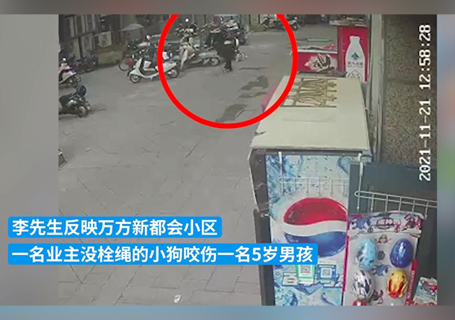 5歲男孩小區(qū)內(nèi)被未拴繩小狗咬傷640.jpg