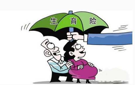 生育保險(xiǎn)