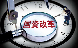 國有獨資公司