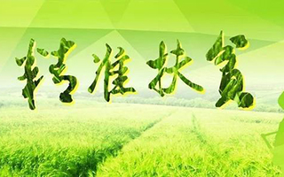 2020年國家扶貧標(biāo)準(zhǔn)