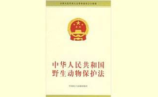 保護(hù)森林及野生動(dòng)物相關(guān)法律