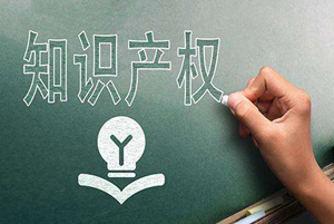 知識產(chǎn)權(quán)顧問