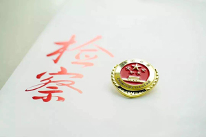 法律監(jiān)督機(jī)關(guān)
