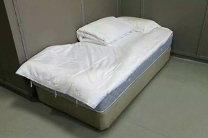 隔離審查法律中表述
