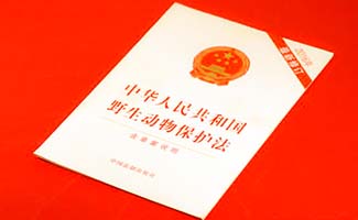 我國有哪些保護(hù)野生動物的法律