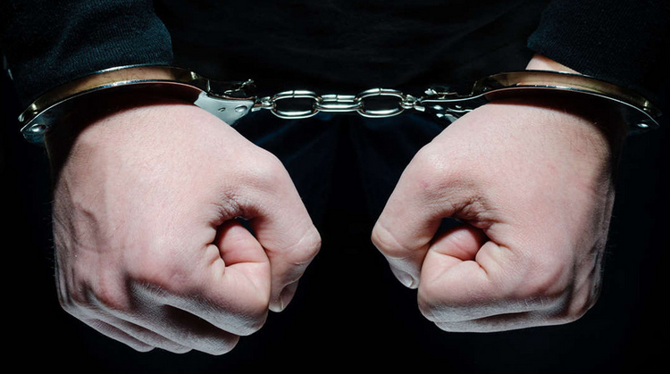 什么是逮捕？