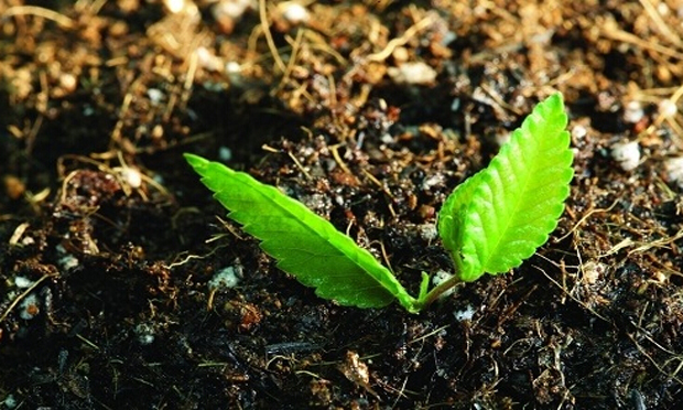 土十條將定土壤污染治理時間表 詳細計劃或明年出臺