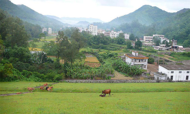 農(nóng)村集體產(chǎn)權(quán)改革頂層設(shè)計(jì)將出：賦予農(nóng)民六項(xiàng)權(quán)利