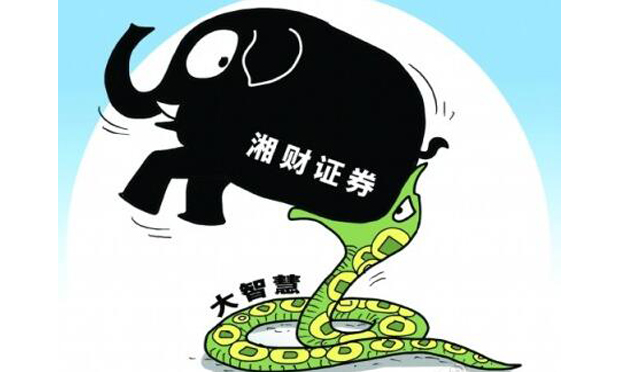 大智慧收購湘財證券遇阻 收購不是想買就能買
