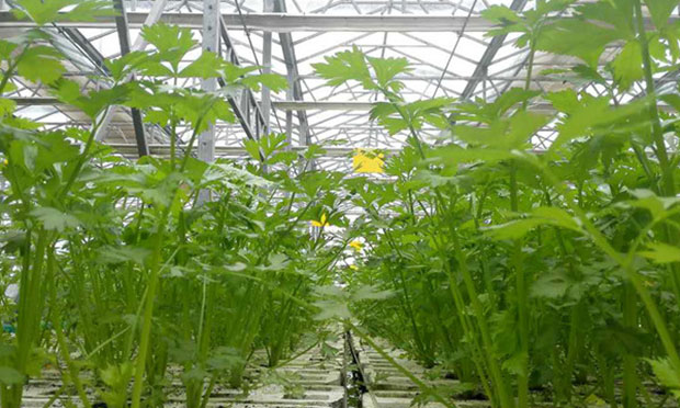用世界級標準抓質(zhì)量 保障舌尖上的安全