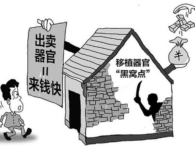 組織販賣人體器官罪的認(rèn)定和量刑