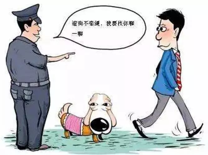 遛狗打人涉嫌觸犯哪些法律