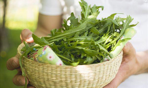 《食品安全法》的最嚴(yán)問責(zé)如何確保落得實(shí)