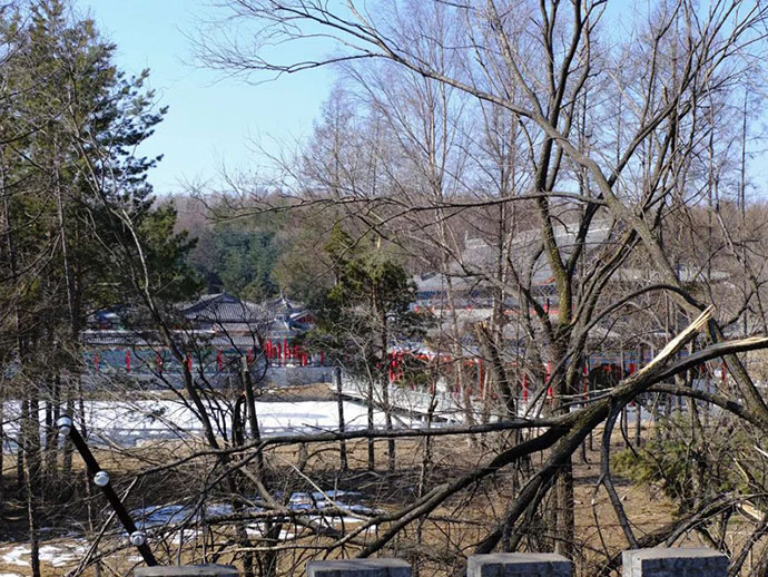 非法占用林地行為的界定和處罰