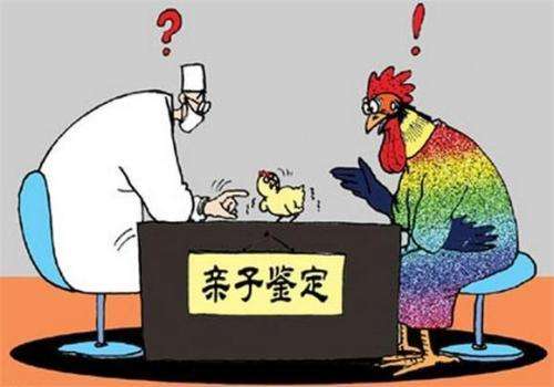 親子鑒定結(jié)果的法律效力與認(rèn)可