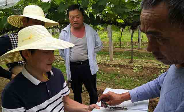農村土地征收農民果園的補償標準